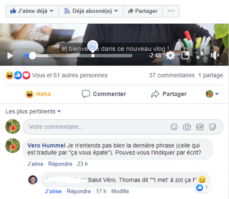 Annexe 3 : Copie d’écran d’un commentaire Facebook « I met à zot ça », 14/07/2019, correspondance privée