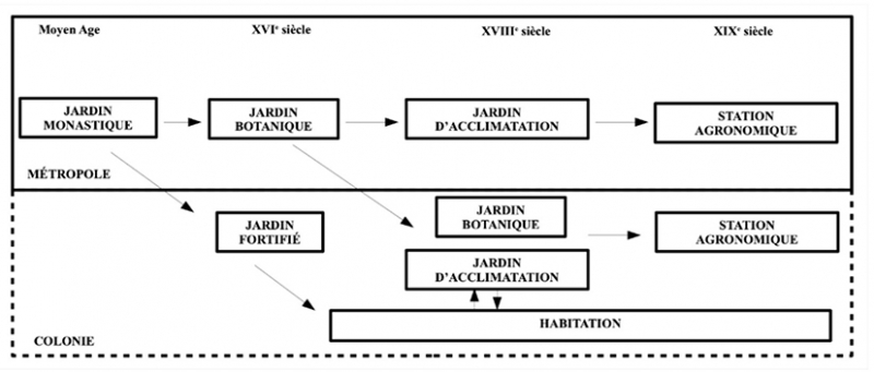 Fig. 1 : Hypothèse sur la filiation/mutation du terrain d’habitation