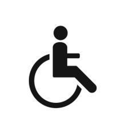 Figure 1 : Pictogramme – Handicap