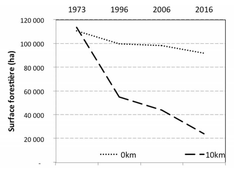 Fig. 3 - Courbes d’évolution de la surface forestière du Parc d’Ankarafantsika (pointillé) et de sa périphérie à 10 km (tirets) à quatre dates : 1973, 1996, 2006 et 2016