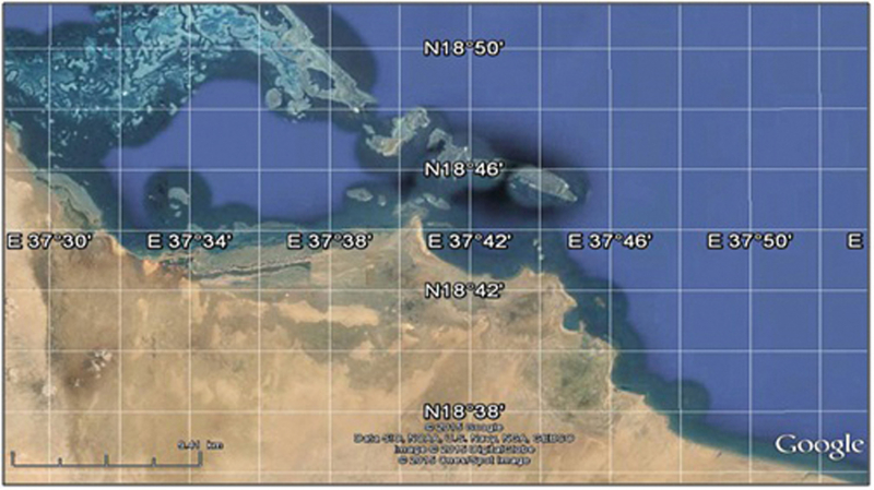 Fig. 4 : le secteur de Trinkitat vu de satellite
