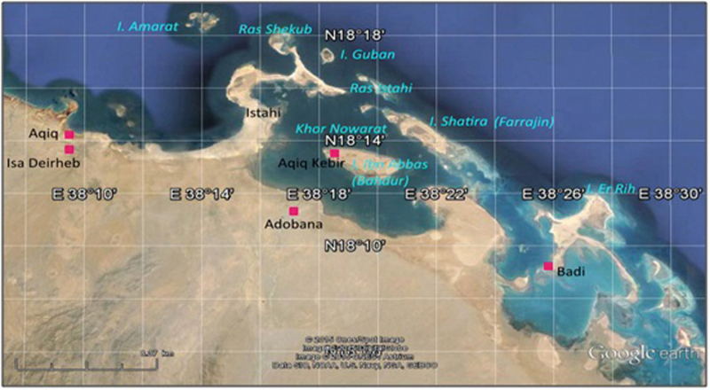 Fig. 6 : la région d’Aqiq vue de satellite