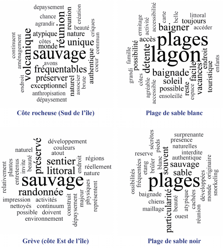 Figure 4 : Représentations des différents types de côtes à La Réunion